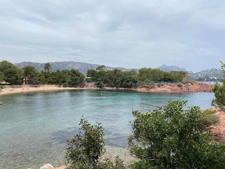 St Raphael 37M2, Piscine, Wifi, Commerces Mer 5Mn A Pieds Saint-Raphael  Luaran gambar